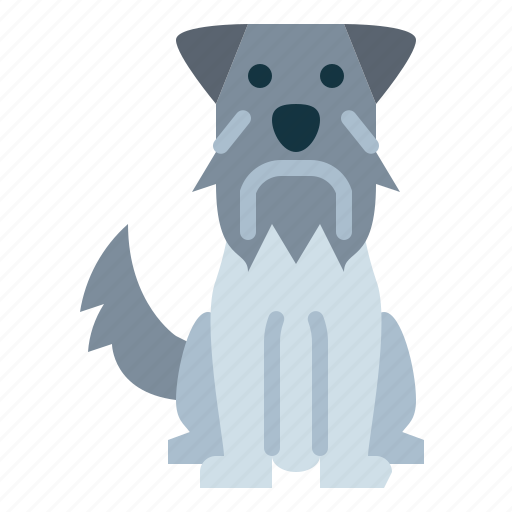 Miniature, schnauzer, dog, pet, animals, breeds icon - Download on Iconfinder