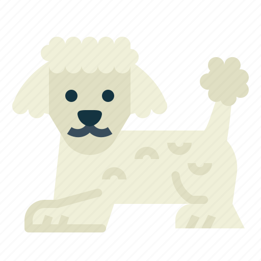 Poodle, dog, pet, animals, breeds icon - Download on Iconfinder