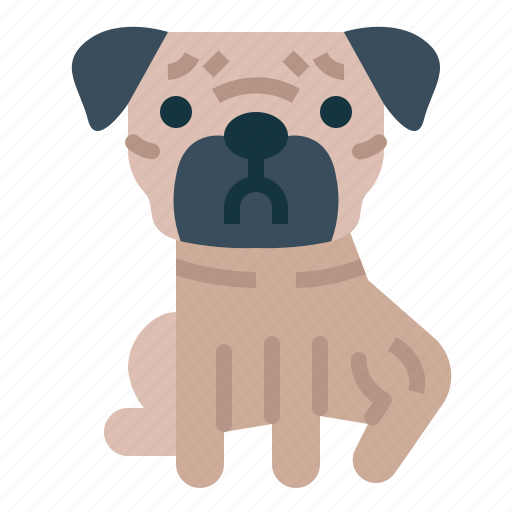 Pug, dog, pet, animals, breeds icon - Download on Iconfinder
