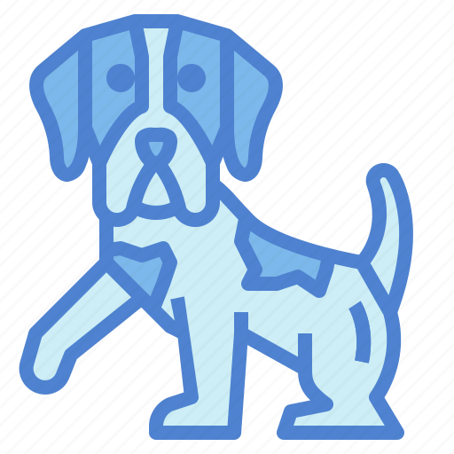 Pointer, dog, pet, animals, breeds icon - Download on Iconfinder