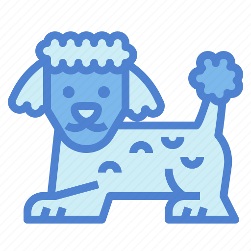 Poodle, dog, pet, animals, breeds icon - Download on Iconfinder