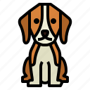beagle, dog, pet, animals, breeds 