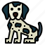 dalmatian, dog, pet, animals, breeds 