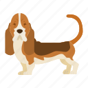 basset hound, dog, puppy, breed, pet, doggy, dog breeds, paw, national dog day