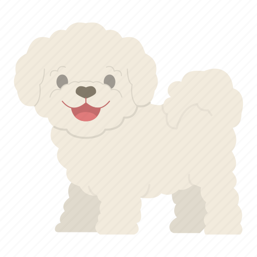 Bichon frise, dog, puppy, breed, pet, doggy, dog breeds icon - Download on Iconfinder