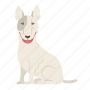 bull, bull terrier, dog, puppy, breed, pet, doggy, dog breeds, national dog day