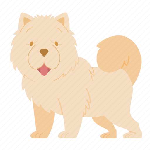 Chow chow, dog, puppy, breed, pet, doggy, dog breeds icon - Download on Iconfinder