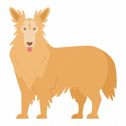 Collie, dog, breed, pet, animal, doggy, dog breeds icon - Download on Iconfinder