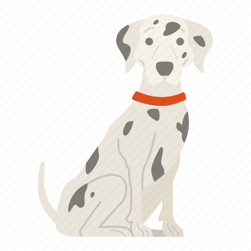 Dalmatian, dog, puppy, breed, pet, doggy, dog breeds icon - Download on Iconfinder