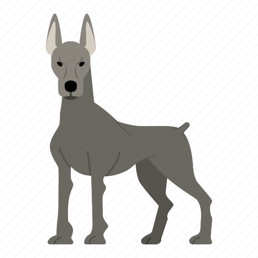 Doberman, dog, puppy, breed, pet, doggy, dog breeds icon - Download on Iconfinder