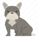 french bulldog, dog, puppy, breed, pet, animal, dog breeds, paw, national dog day