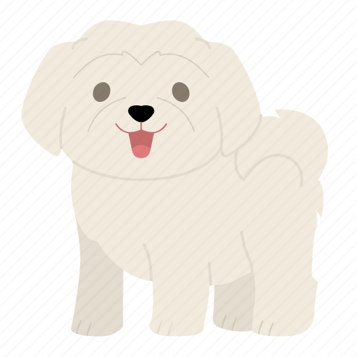 Maltese, dog, puppy, breed, pet, doggy, dog breeds icon - Download on Iconfinder