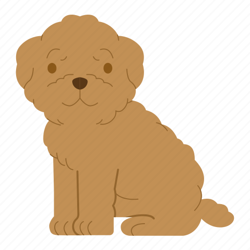 Poodle, dog, puppy, breed, pet, doggy, dog breeds icon - Download on Iconfinder