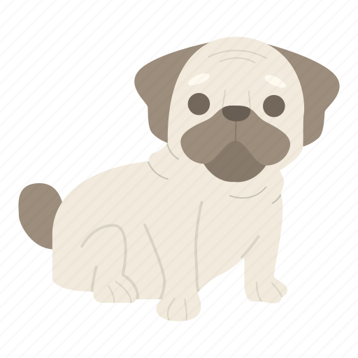 Pug, dog, puppy, breed, pet, animal, doggy icon - Download on Iconfinder