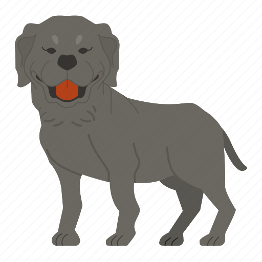 Rottweiler, dog, puppy, breed, pet, doggy, dog breeds icon - Download on Iconfinder
