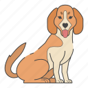 beagle, dog, puppy, breed, pet, animal, cute, dog breeds, paw