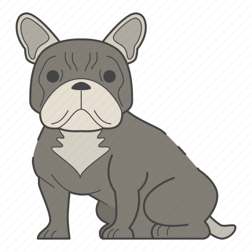 Bulldog, french bulldog, dog, puppy, breed, pet, dog lovers icon - Download on Iconfinder