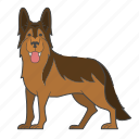 german shepherd, dog, puppy, puppies, breed, canine, mammal, dog breeds, paw