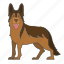 german shepherd, dog, puppy, puppies, breed, canine, mammal, dog breeds, paw 