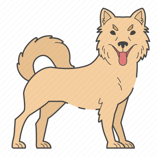 Kintamani, dog, puppy, breed, dog lovers, doggy, dog breeds icon - Download on Iconfinder