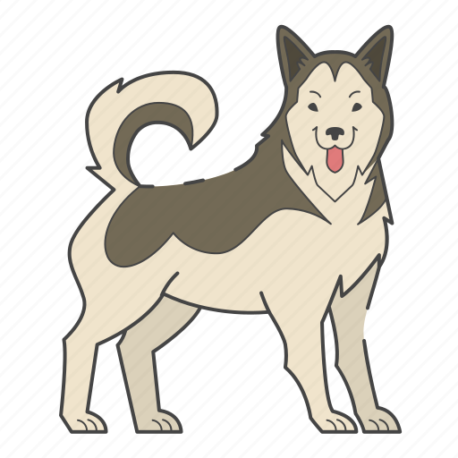 Malamute, dog, puppy, puppies, breed, pet, doggy icon - Download on Iconfinder