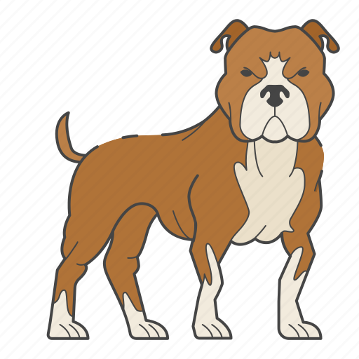 Pitbull, pit bull, dog, breed, pet, animal, dog lovers icon - Download on Iconfinder