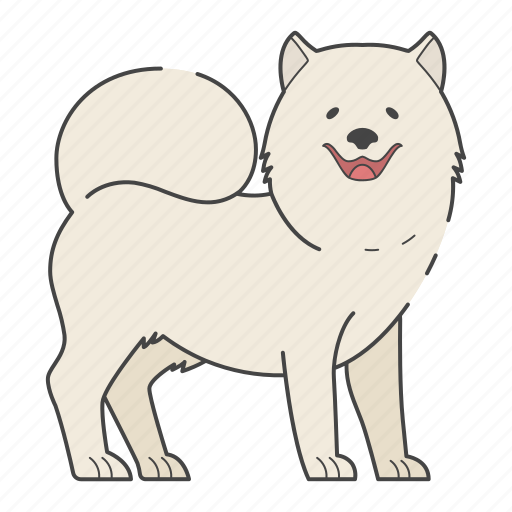 Samoyed, dog, puppy, breed, pet, doggy, dog breeds icon - Download on Iconfinder