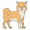 shiba inu, dog, puppy, breed, pet, doggy, pup, dog breeds, dog day