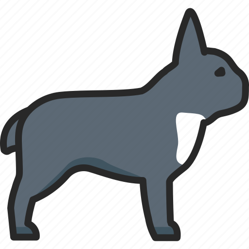 French, bulldog, puppy icon - Download on Iconfinder