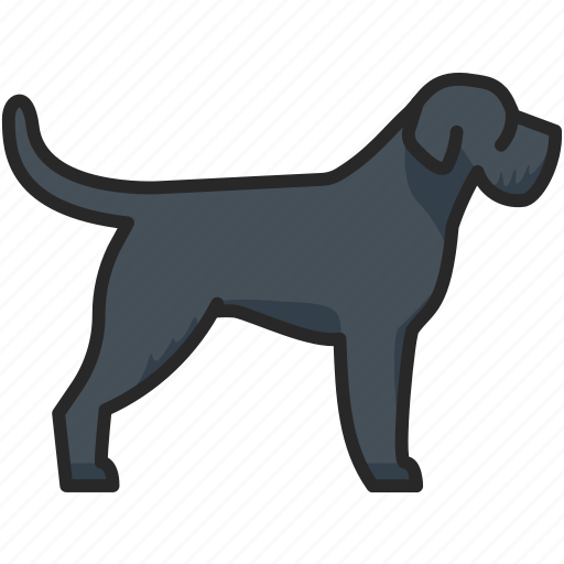 Giant, schnauzer, big, dog icon - Download on Iconfinder