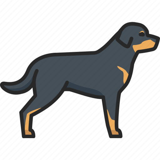 Rottweiler, black, dog icon - Download on Iconfinder