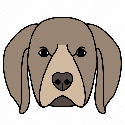 Angry, animal, breeds, dog, golden, pets, retriever icon - Download on Iconfinder