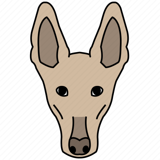 Animal, breeds, dog, hound, pets, podenco, spanish icon - Download on Iconfinder