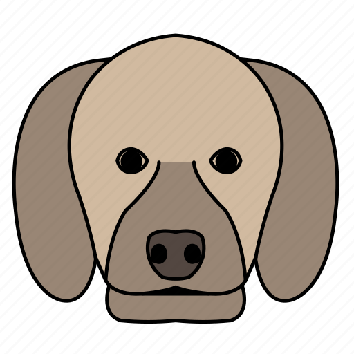 Animal, breeds, brown, dog, pets, poodle, pudel icon - Download on Iconfinder