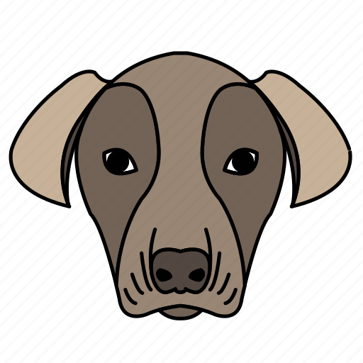 Animal, breeds, brown, dog, greyhound, pets, weimaraner icon - Download on Iconfinder