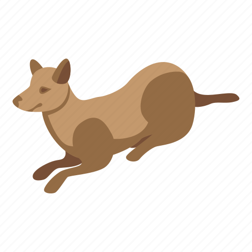 Agility, cartoon, dog, hand, isometric, training, woman icon - Download on Iconfinder