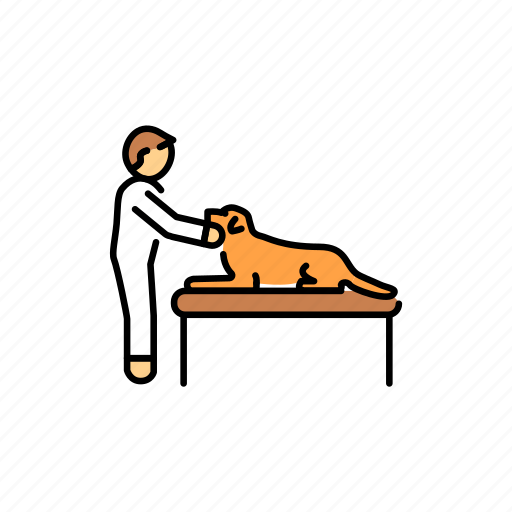 Dog, pet, medical, examination, check, up icon - Download on Iconfinder