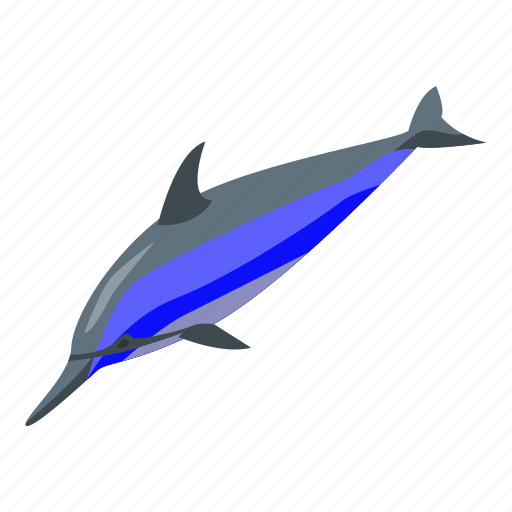Dolphin, bottlenose dolphin, sea animal icon - Download on Iconfinder