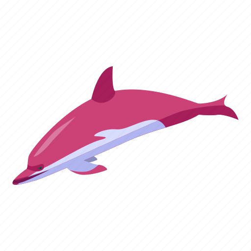 Dolphin, pink dolphin icon - Download on Iconfinder
