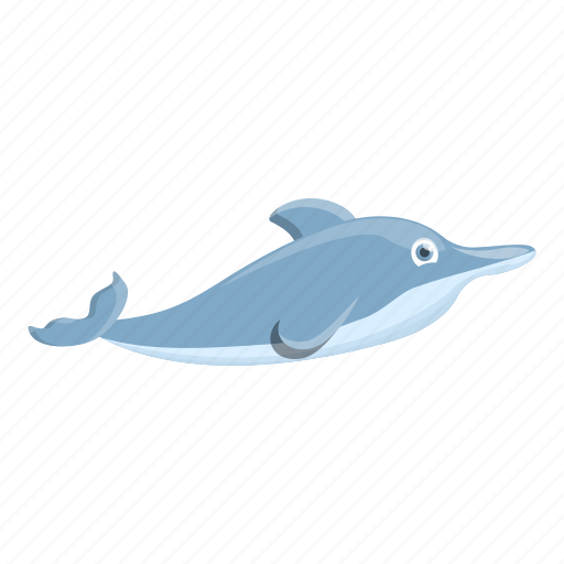 Beach, dolphin, friendly, nature, summer, water icon - Download on Iconfinder