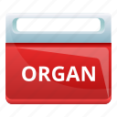 box, heart, medical, organ