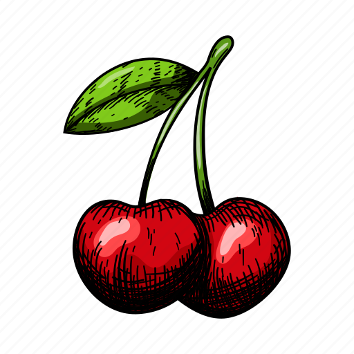 Cherry, sweet, fruit, retro, vintage, drawn icon - Download on Iconfinder