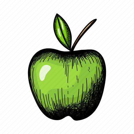 Orchard, apple, tree, crabapple, pome, fruit, retro icon - Download on Iconfinder