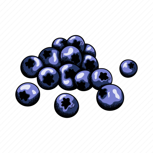 Blueberry, bilberry, swamp, retro, vintage, drawn icon - Download on Iconfinder
