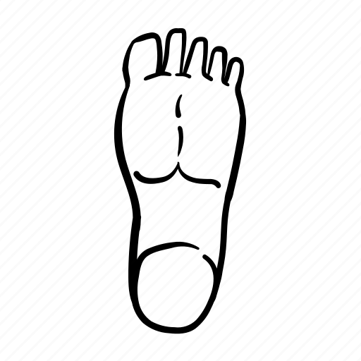 Foot, feet, toe, anatomy, leg, health, human icon - Download on Iconfinder