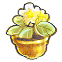 flowerpot, flower