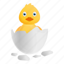 baby, duck, eggshell, family, from, yellow