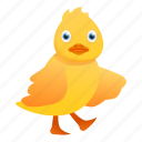 duck, family, funny, party, water, yellow