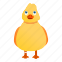 animal, baby, duck, fat, nature, yellow
