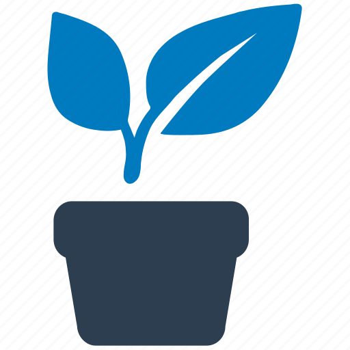 House plant, natural, plant, potted plant, vase icon - Download on Iconfinder